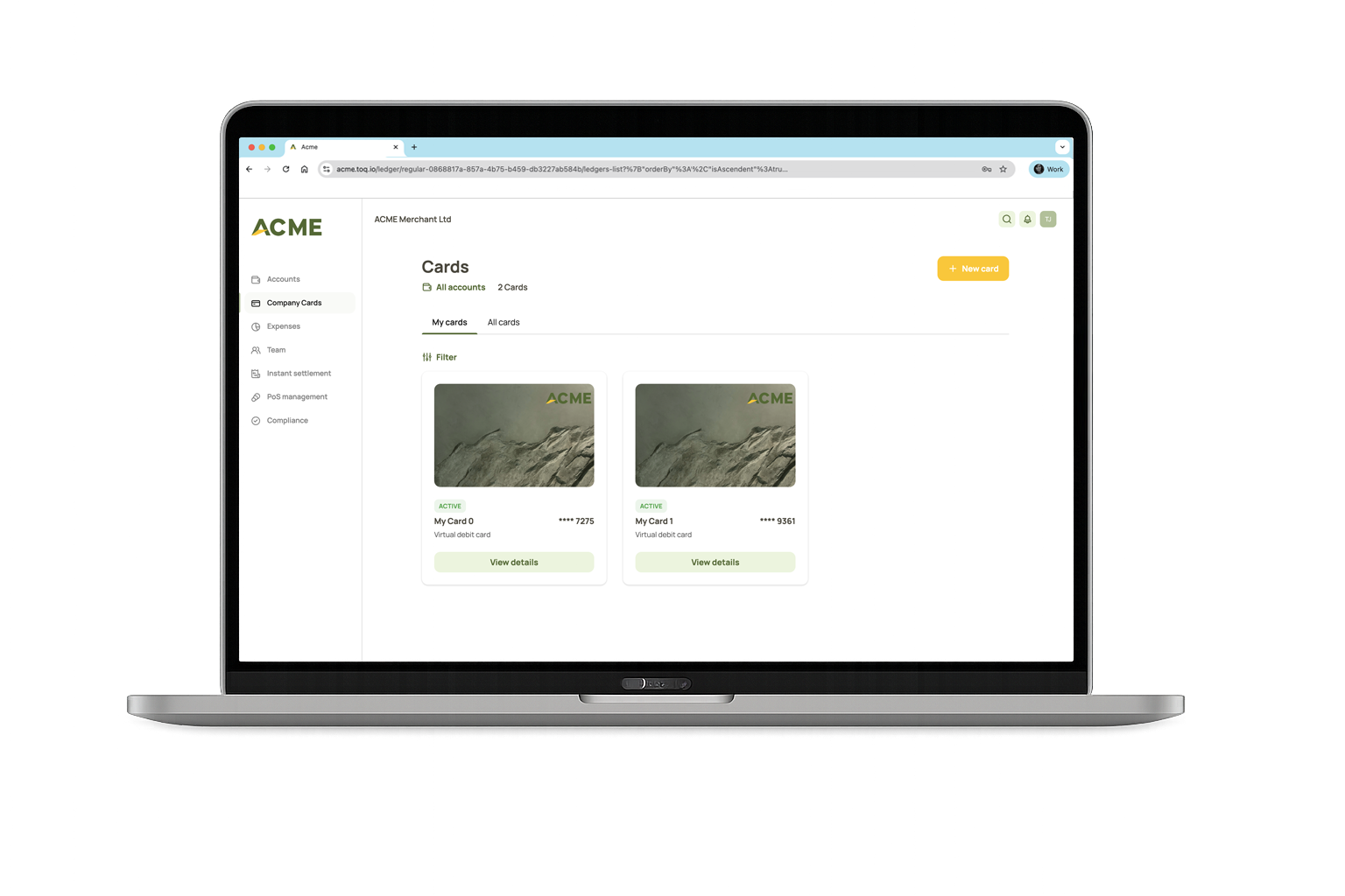 Toqio laptop ACME cards