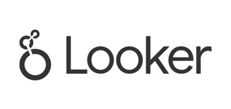 looker web